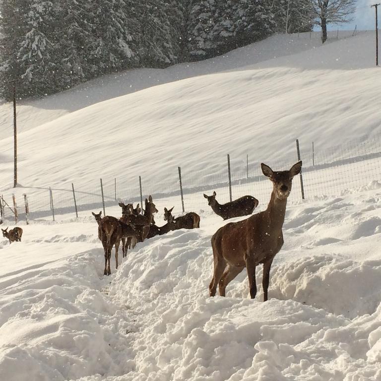 Berghof Haselsberger