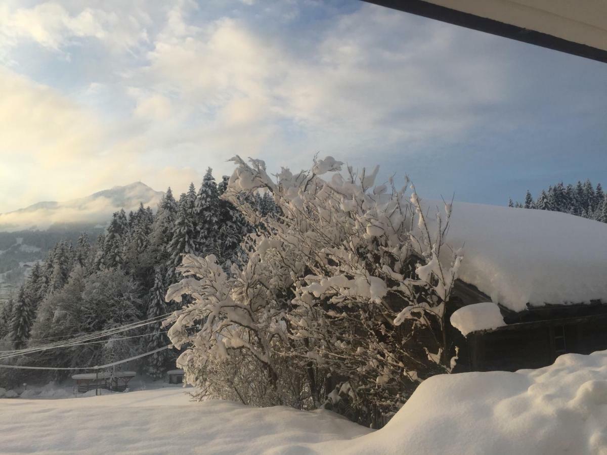 Guest house Berghof Haselsberger Sankt Johann in Tirol
