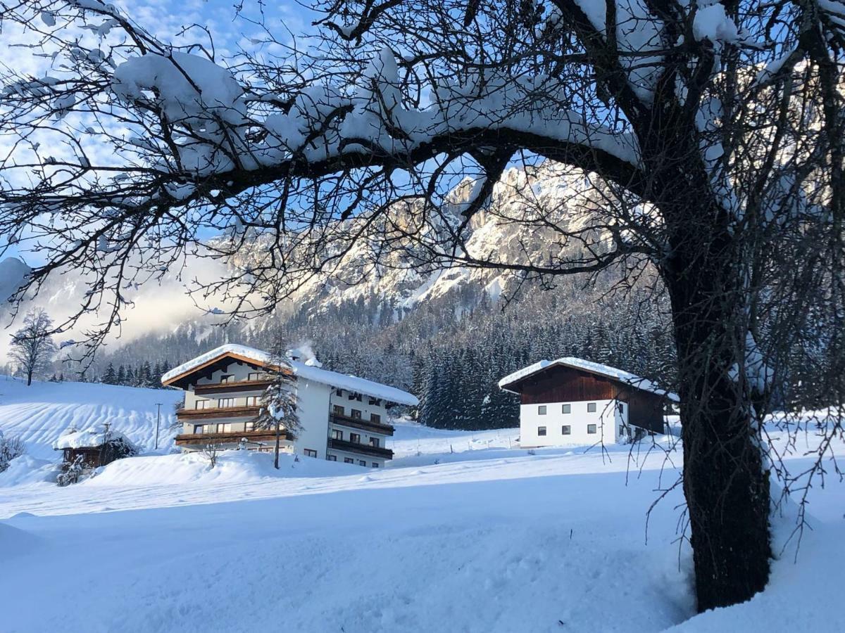 Berghof Haselsberger Guest house