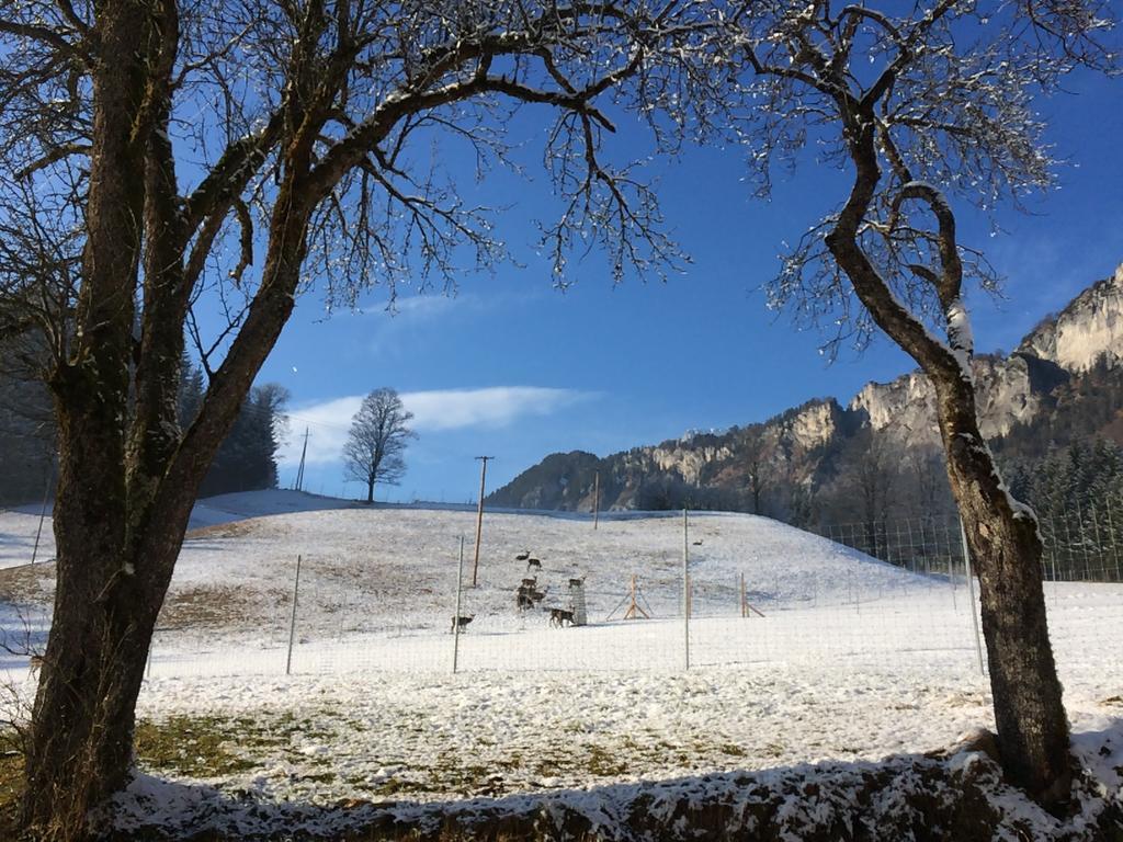 Berghof Haselsberger Gasthuis *